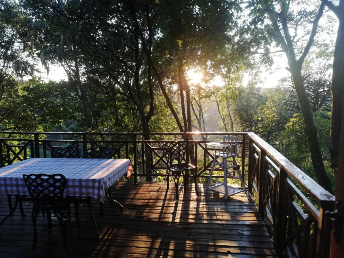 Cabbage Tree Cottage ฮิลตัน ภายนอก รูปภาพ