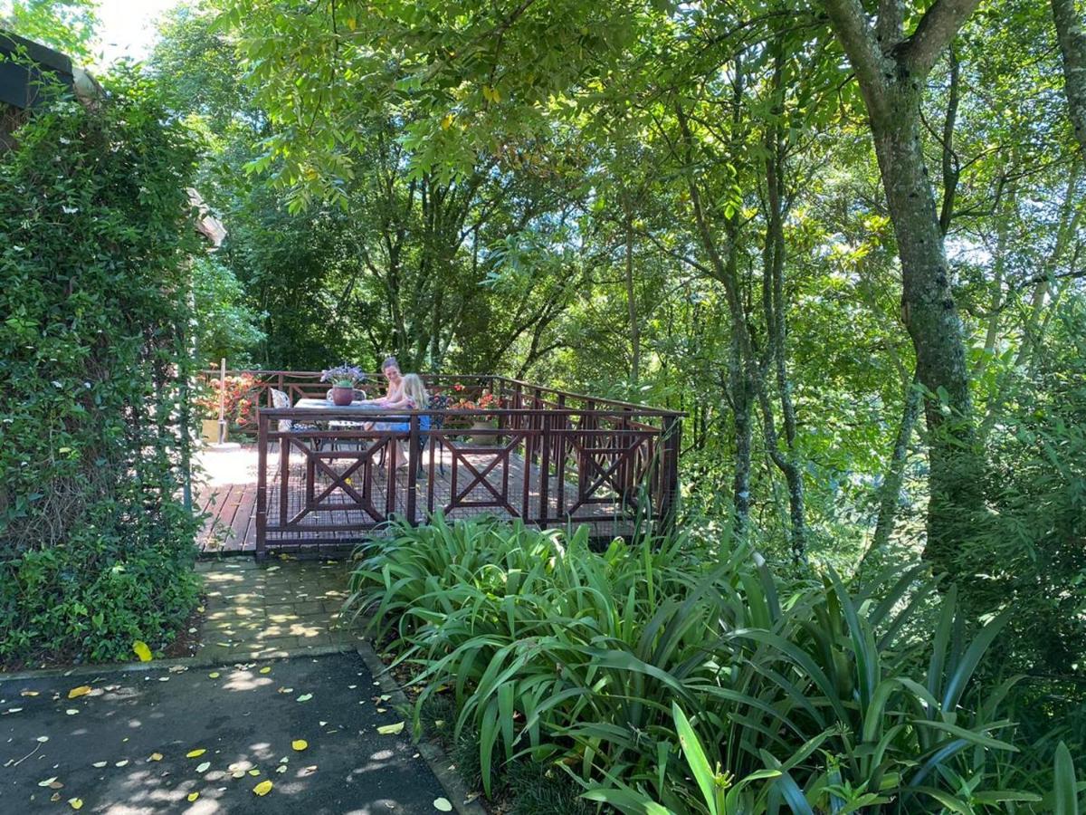 Cabbage Tree Cottage ฮิลตัน ภายนอก รูปภาพ