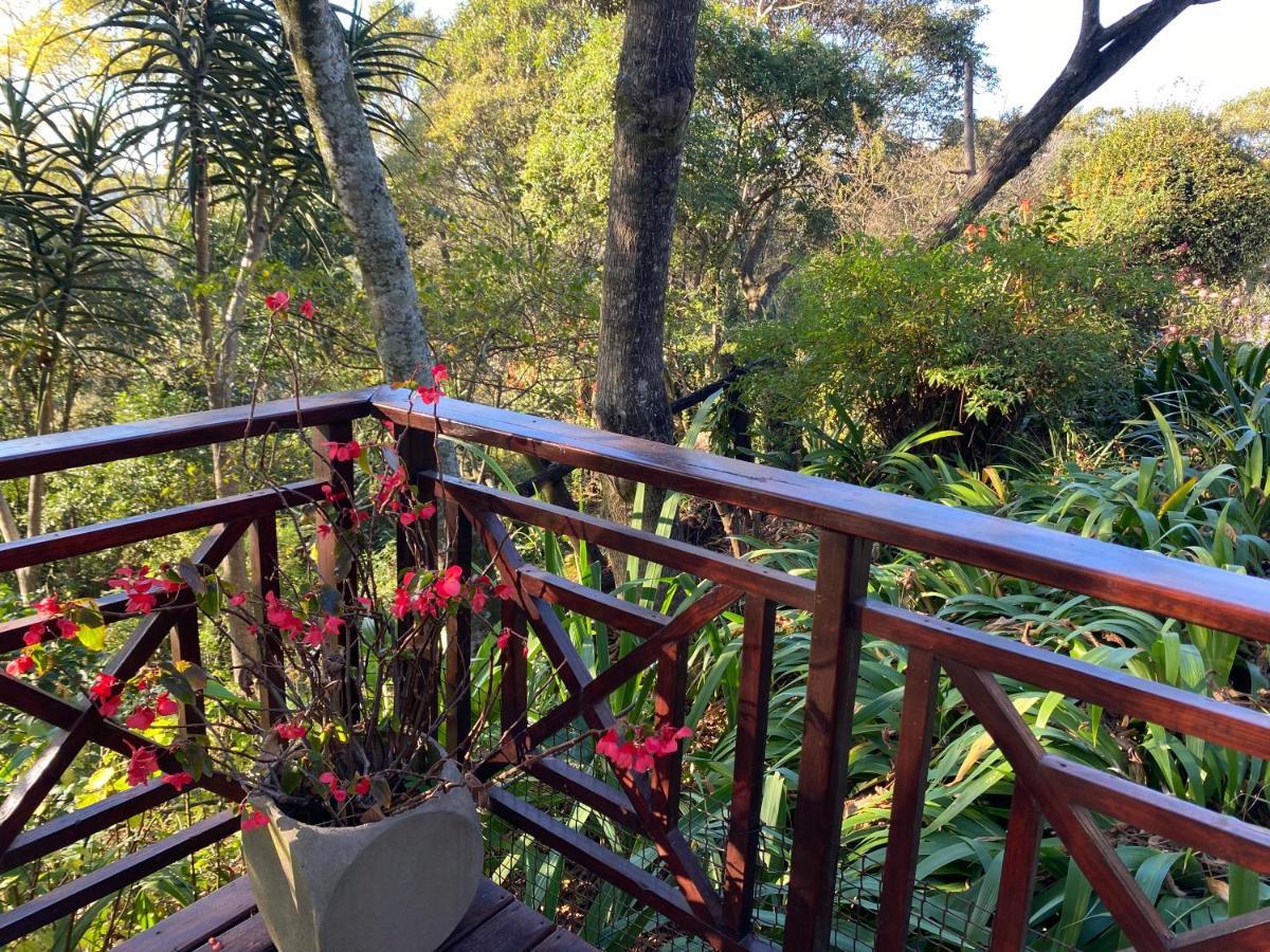 Cabbage Tree Cottage ฮิลตัน ภายนอก รูปภาพ
